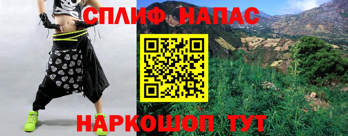 Бошки Шишки MAZAR Ишим